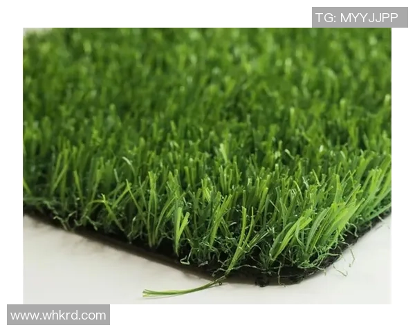 足球地草的选择与维护对比赛质量的影响分析与探讨